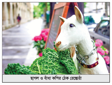 প্যারিসের ছাগল ও বাঁধাকপির ঠেক